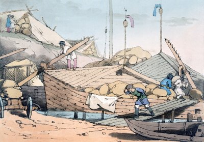 トウモロコシの樹皮、1803 作： John Augustus Atkinson